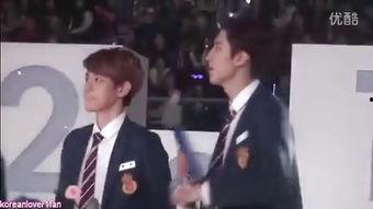 明星台下看exo表演,EXO演唱会燃情绽放