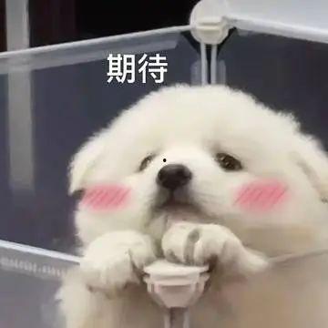 吃瓜聊天群号大全免费,免费畅享热门话题盛宴