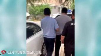 日本尾随强种子,传承与创新之路