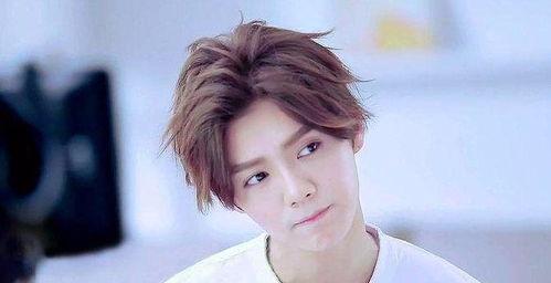 鹿晗新闻爆料是真的吗,真相揭秘，是真是假？