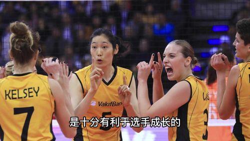 外媒爆料李盈莹视频播放,外媒爆料引发热议