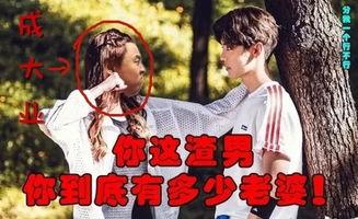 好明星小电影,星光熠熠的青春校园传奇