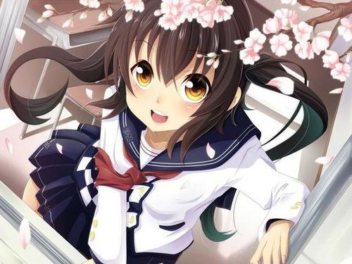 日本动漫多有哪些,日本动漫的多彩世界