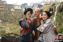 菊花醉 电视剧在线播放,穿越时空的浪漫传奇