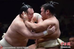 日本相扑番号,揭秘日本相扑番号背后的传奇故事