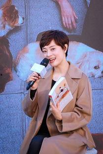 孙俪娱乐大爆料在线观看,揭秘明星幕后故事