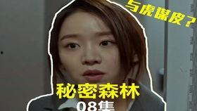 韩剧森林秘密在线播放